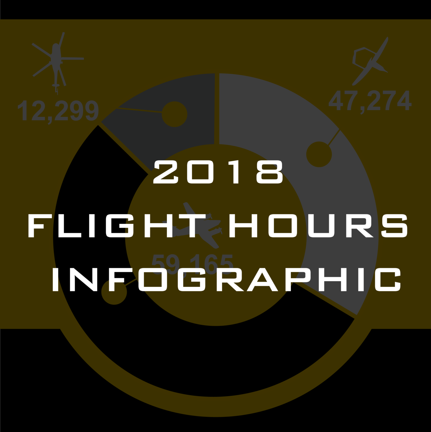 2018 Flight Hours Infographic
