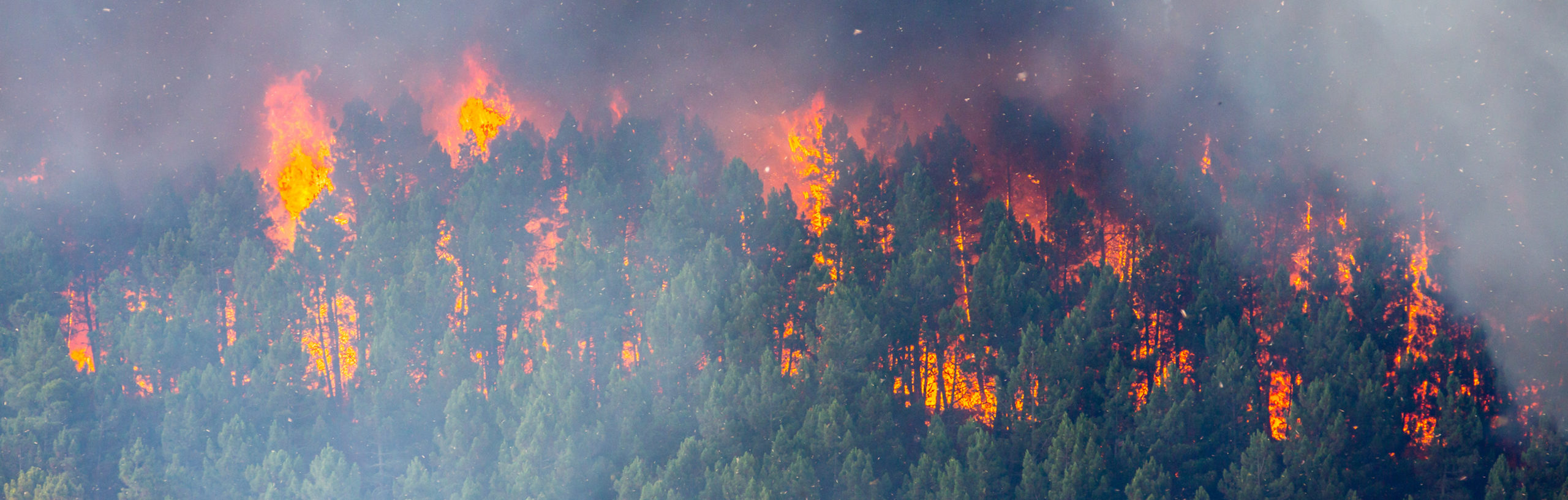 Fire mapping Canadian fires